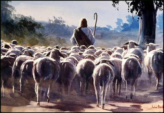 Responda a Pergunta Que Jesus Lhe Fez 1 apascenta minhas ovelhas